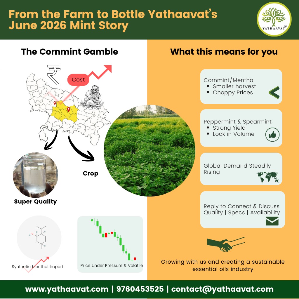 From Farm to Bottle: Mint Story | Jun 2026